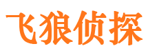 木里飞狼私家侦探公司